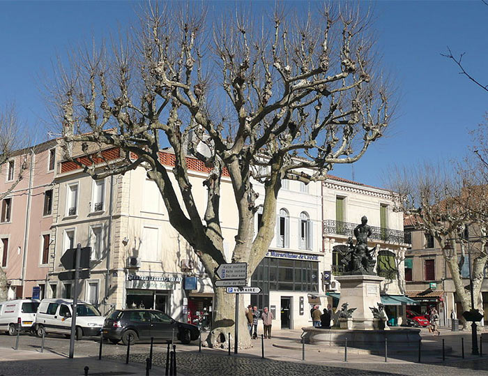 Châteaurenard